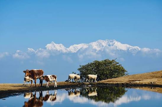 Panchthar